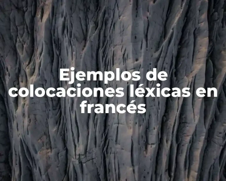 Ejemplos de colocaciones léxicas en francés