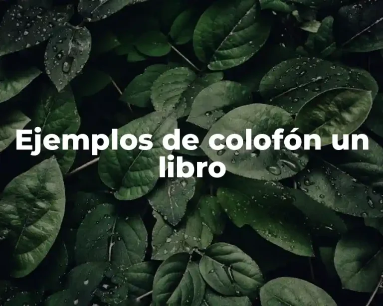 Ejemplos de colofón un libro