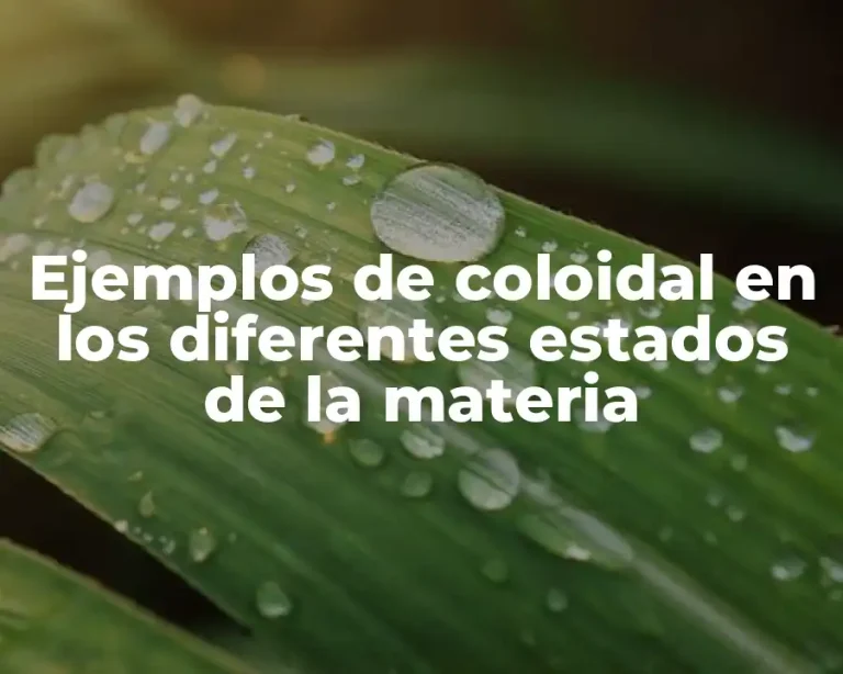 Ejemplos de coloidal en los diferentes estados de la materia