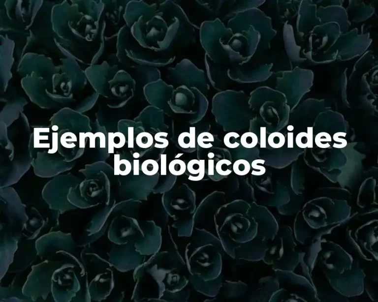 Ejemplos de coloides biológicos