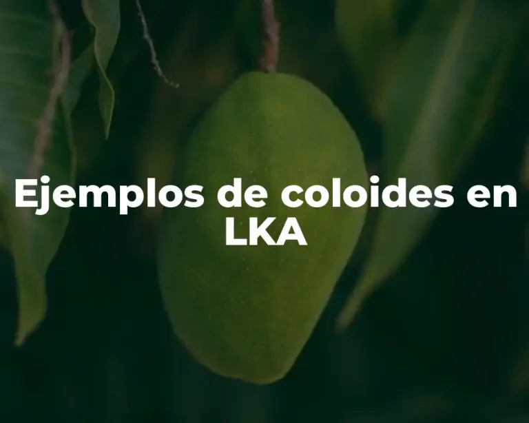 Ejemplos de coloides en LKA