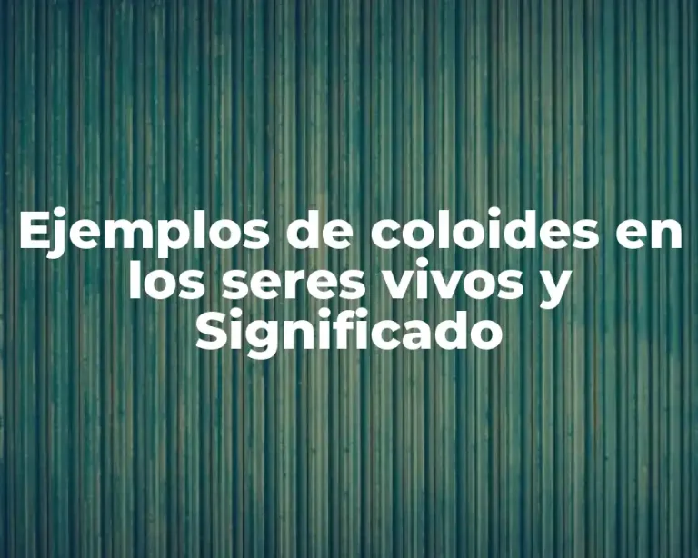 Ejemplos de coloides en los seres vivos y Significado