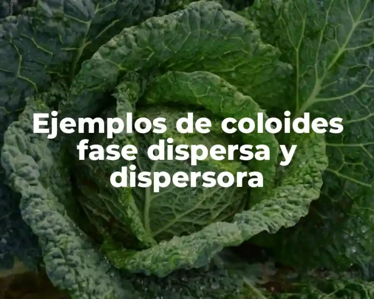 Ejemplos de coloides fase dispersa y dispersora