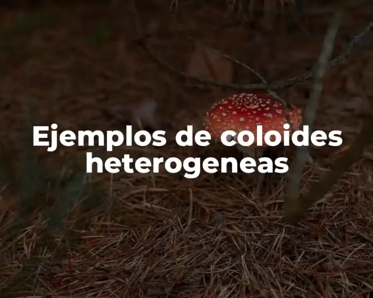 Ejemplos de coloides heterogeneas
