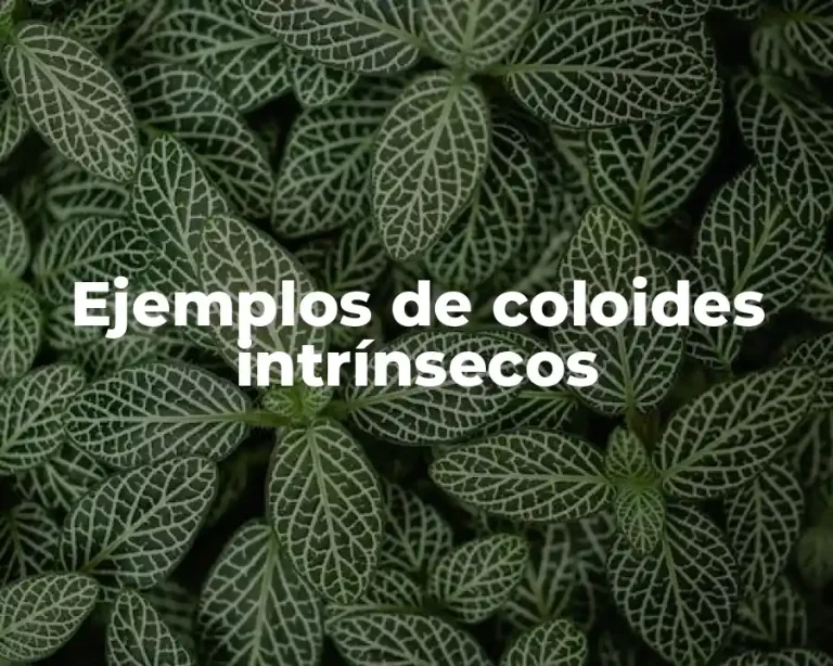 Ejemplos de coloides intrínsecos