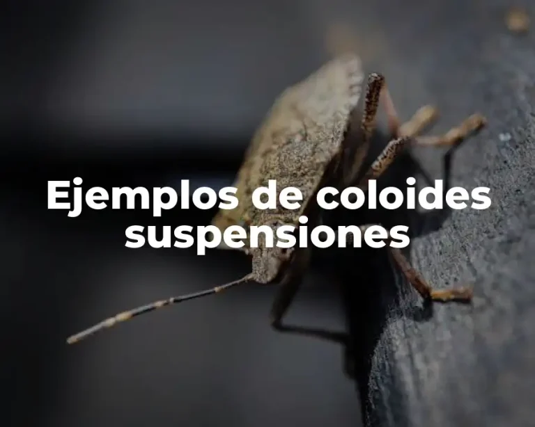 Ejemplos de coloides suspensiones