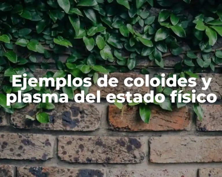 Ejemplos de coloides y plasma del estado físico