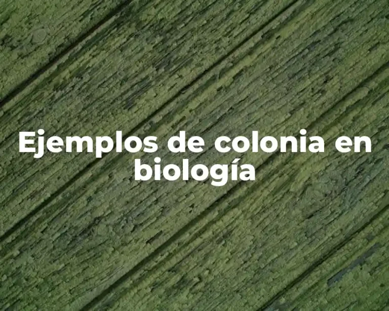 Ejemplos de colonia en biología