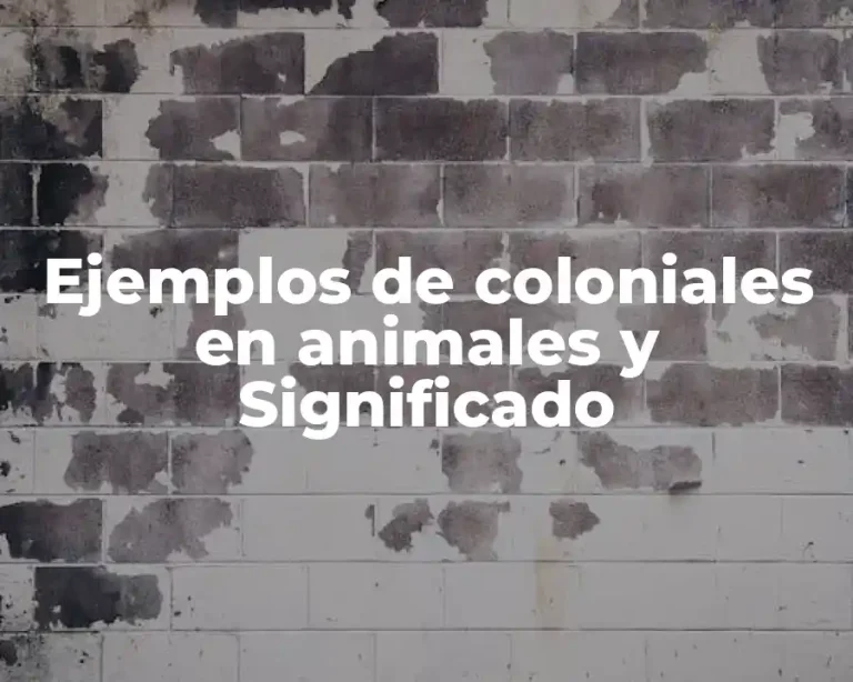 Ejemplos de coloniales en animales y Significado