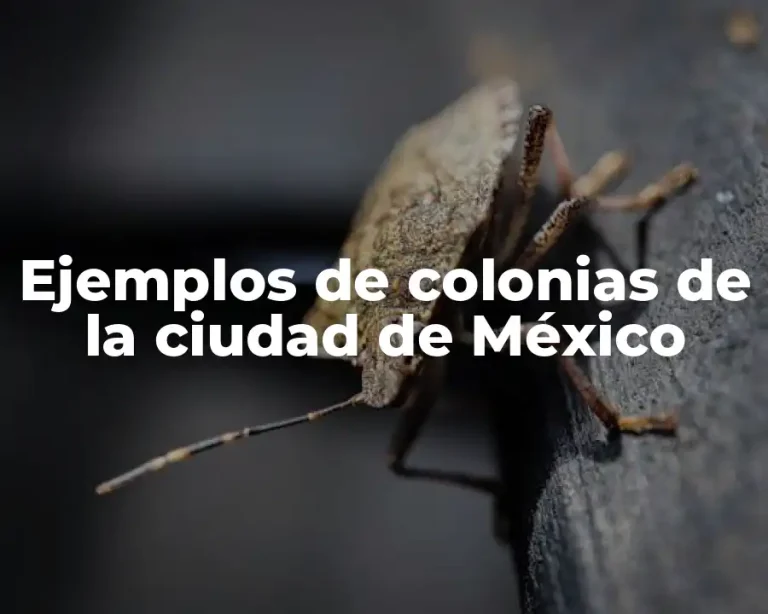 Ejemplos de colonias de la ciudad de México