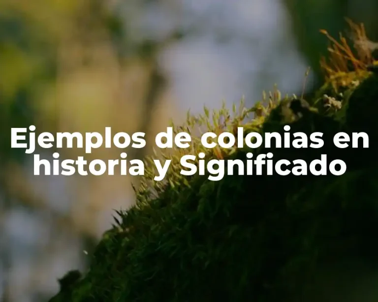 Ejemplos de colonias en historia y Significado