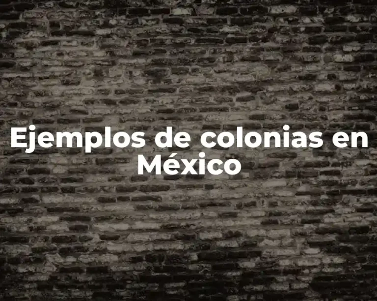 Ejemplos de colonias en México