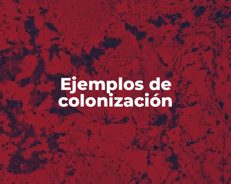 Ejemplos de colonización