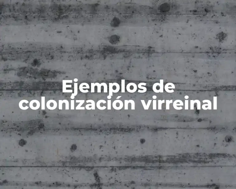 Ejemplos de colonización virreinal