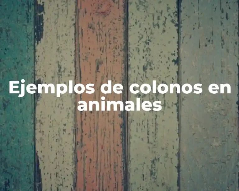 Ejemplos de colonos en animales