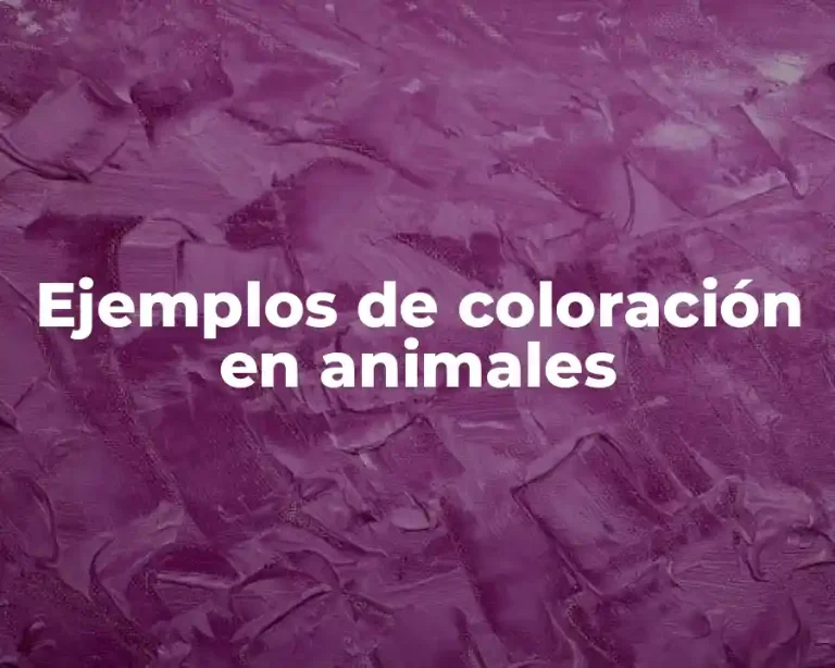 Ejemplos de coloración en animales