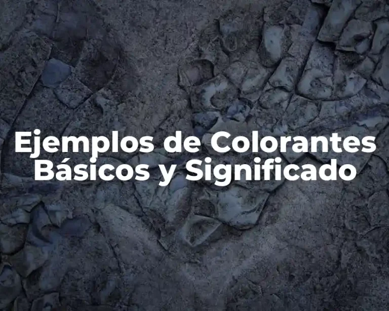 Ejemplos de Colorantes Básicos y Significado