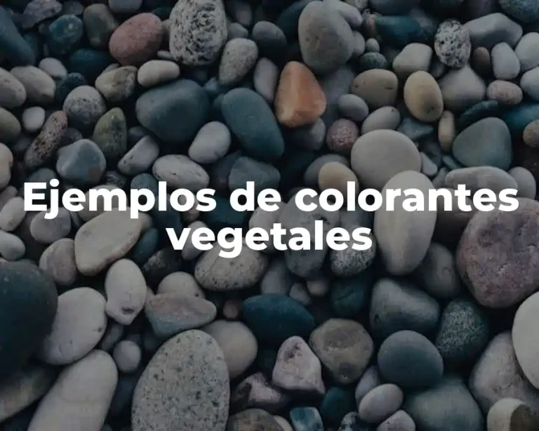 Ejemplos de colorantes vegetales