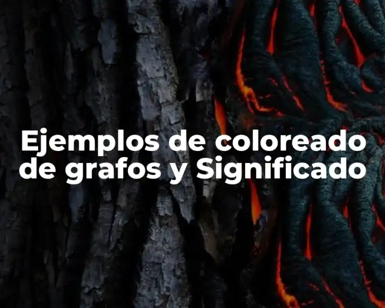 Ejemplos de coloreado de grafos y Significado