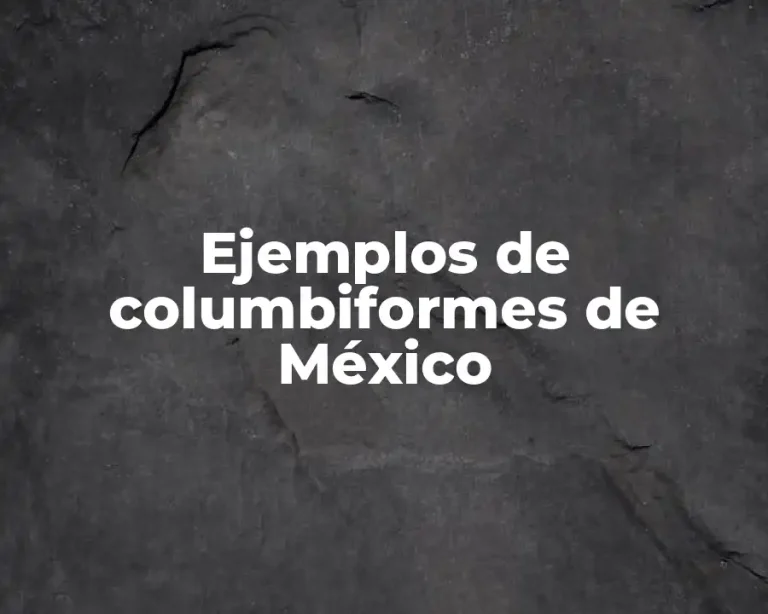 Ejemplos de columbiformes de México