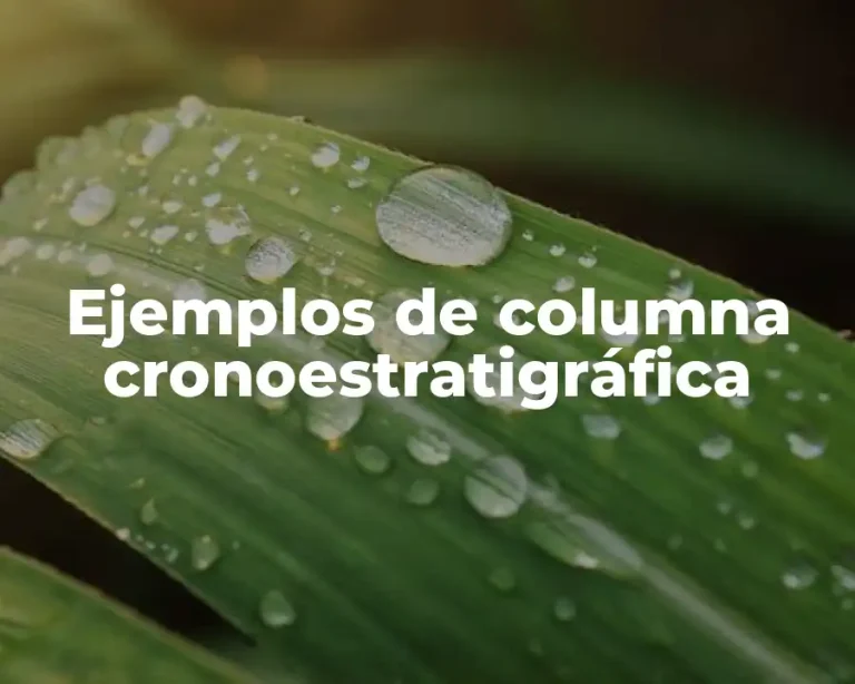 Ejemplos de columna cronoestratigráfica
