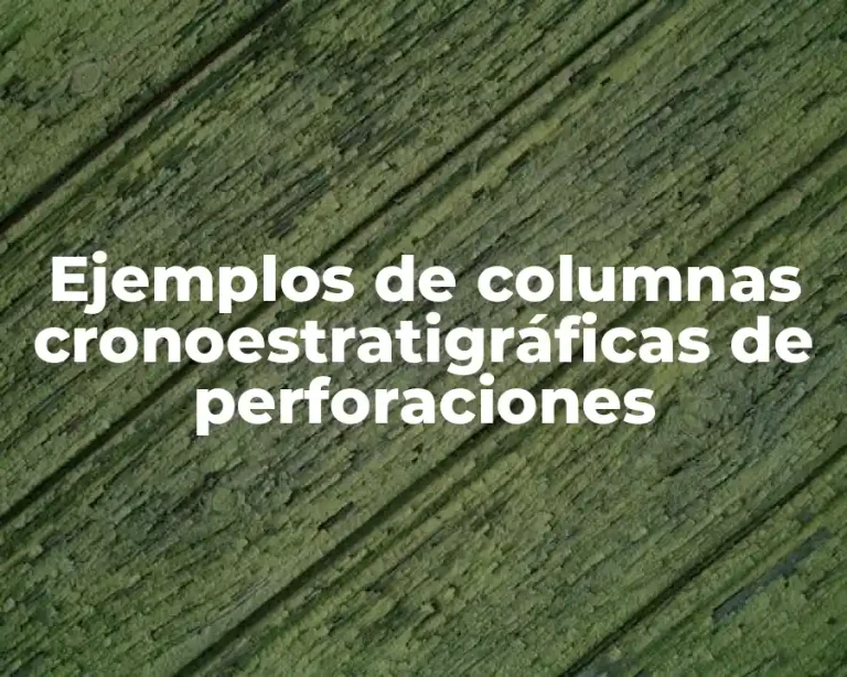 Ejemplos de columnas cronoestratigráficas de perforaciones