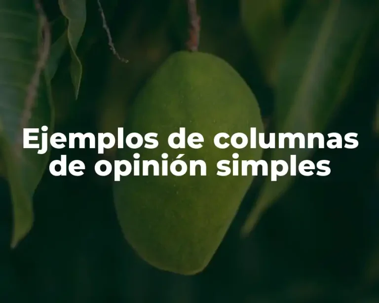 Ejemplos de columnas de opinión simples