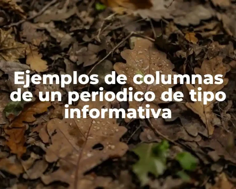 Ejemplos de columnas de un periodico de tipo informativa