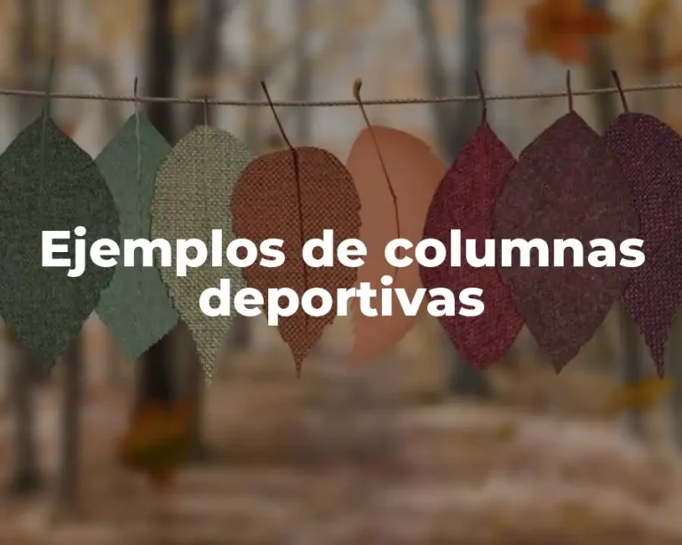 Ejemplos de columnas deportivas