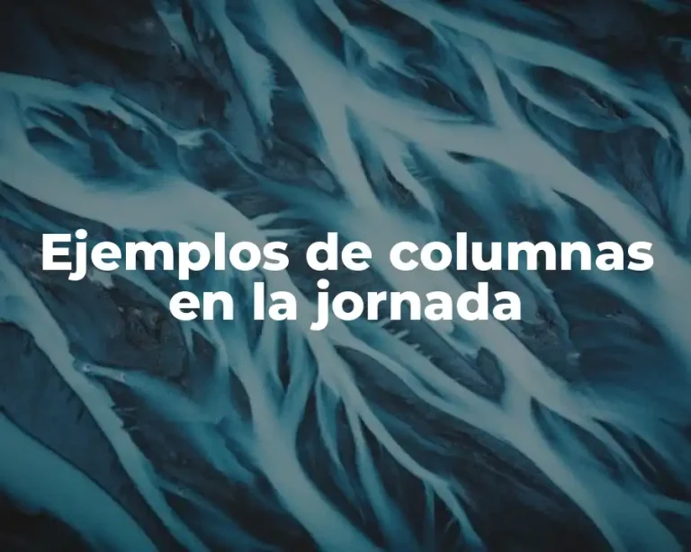 Ejemplos de columnas en la jornada