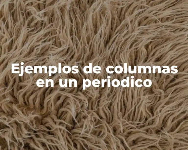 Ejemplos de columnas en un periodico