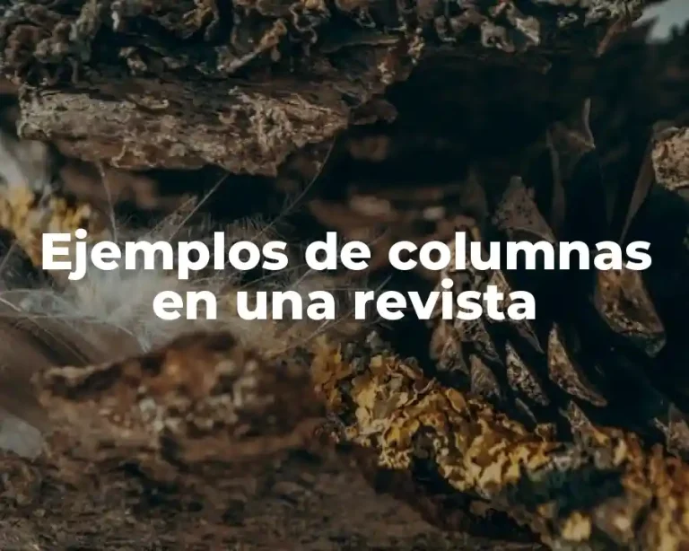 Ejemplos de columnas en una revista