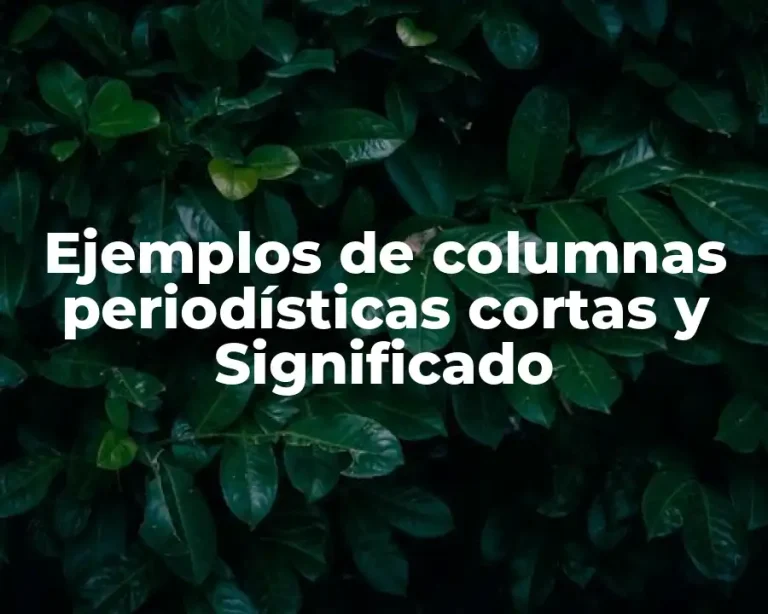 Ejemplos de columnas periodísticas cortas y Significado