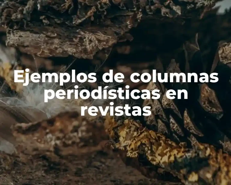 Ejemplos de columnas periodísticas en revistas