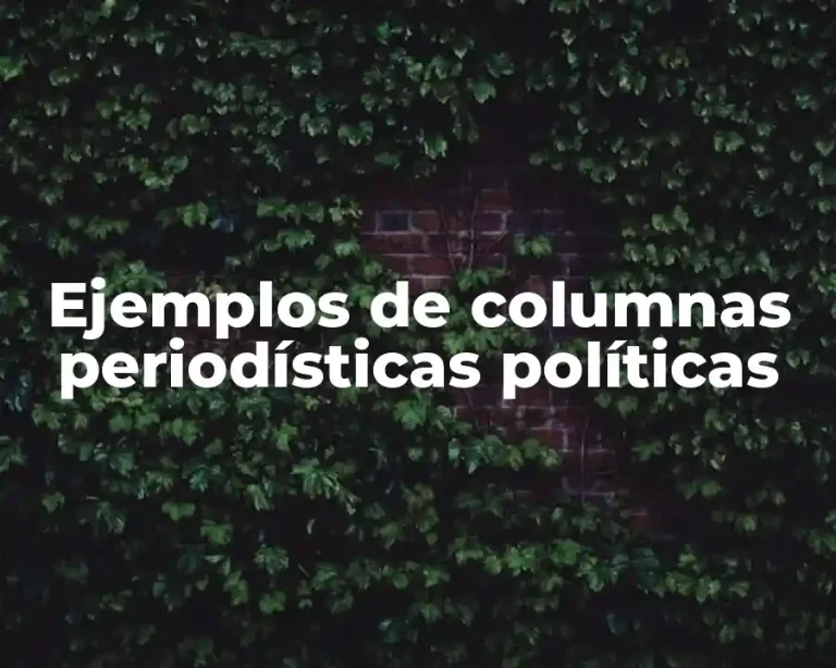Ejemplos de columnas periodísticas políticas