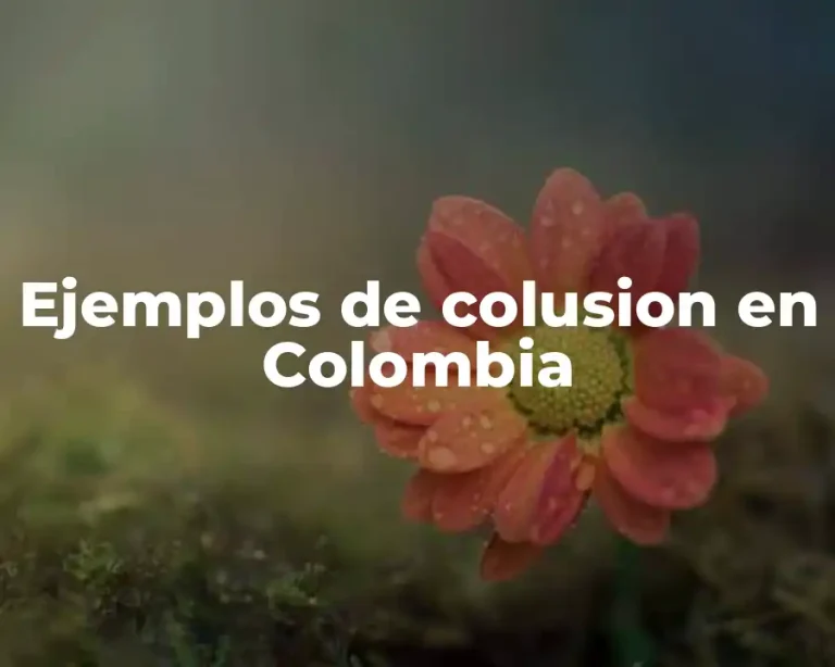Ejemplos de colusion en Colombia