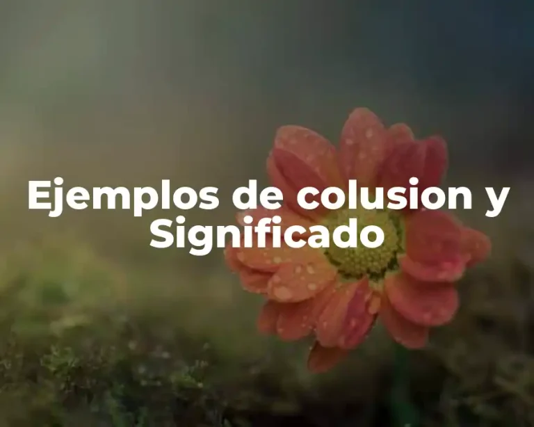 Ejemplos de colusion y Significado