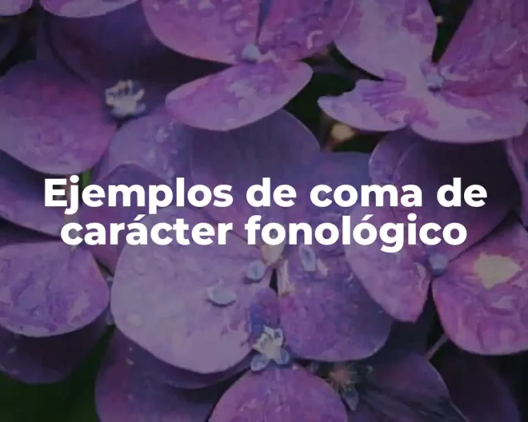 Ejemplos de coma de carácter fonológico