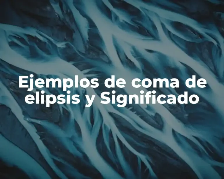 Ejemplos de coma de elipsis y Significado