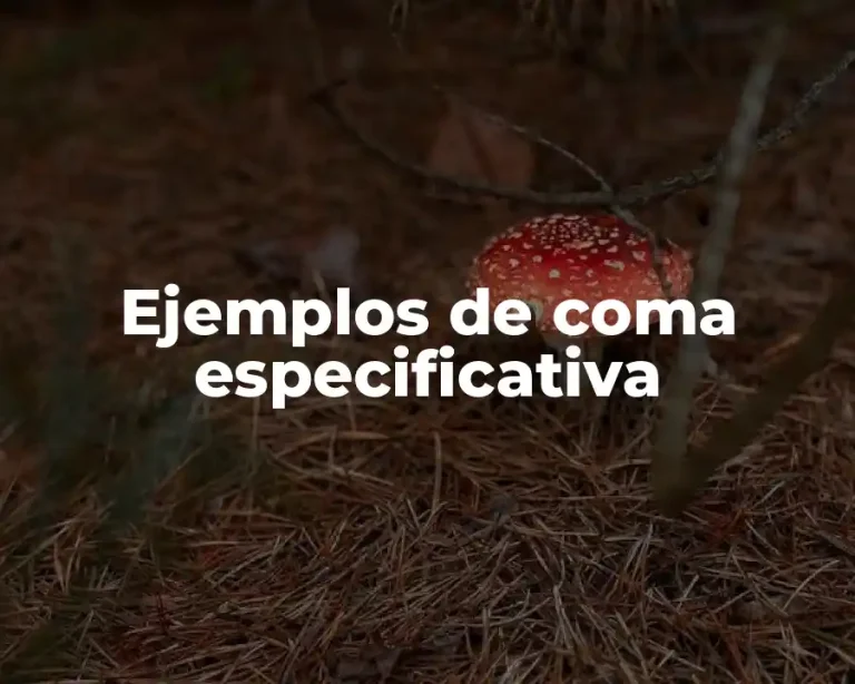 Ejemplos de coma especificativa