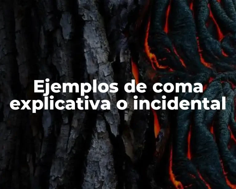 Ejemplos de coma explicativa o incidental