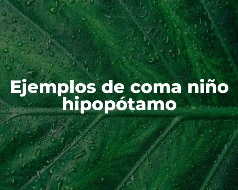 Ejemplos de coma niño hipopótamo