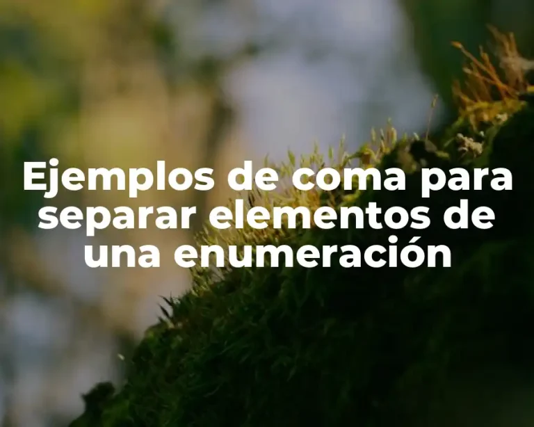 Ejemplos de coma para separar elementos de una enumeración