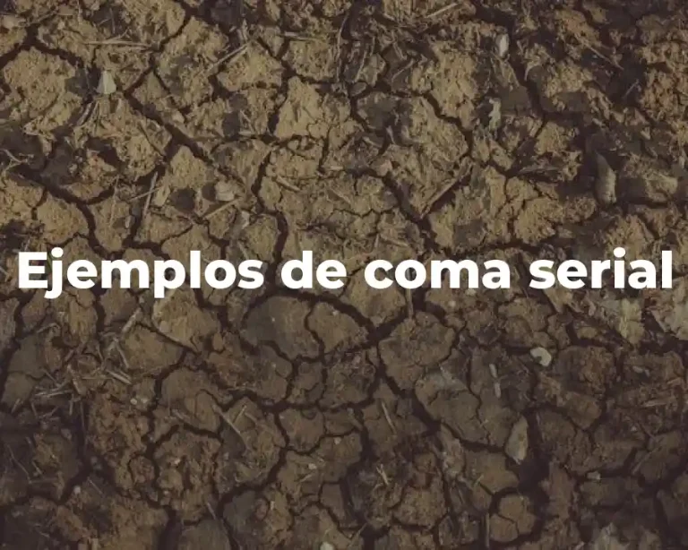 Ejemplos de coma serial