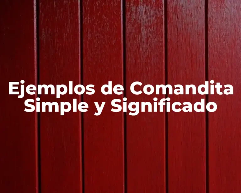 Ejemplos de Comandita Simple y Significado