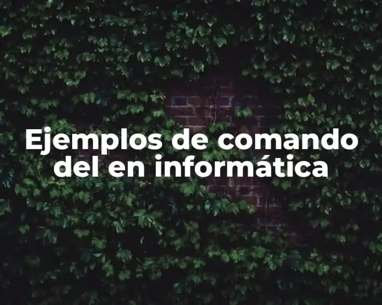 Ejemplos de comando del en informática