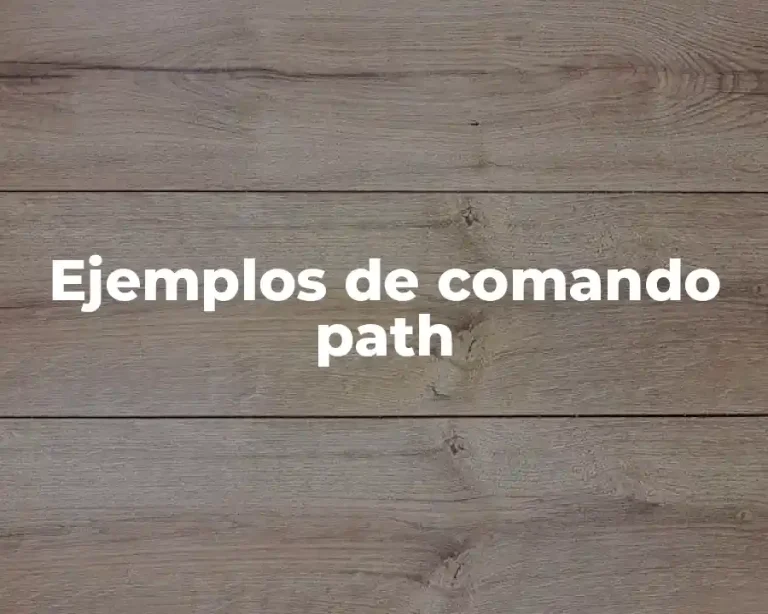 Ejemplos de comando path