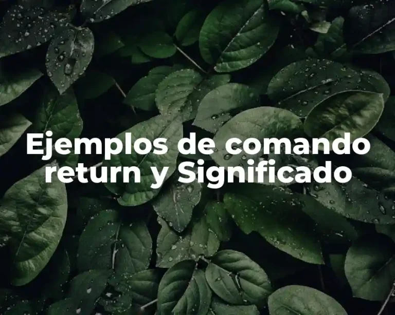 Ejemplos de comando return y Significado