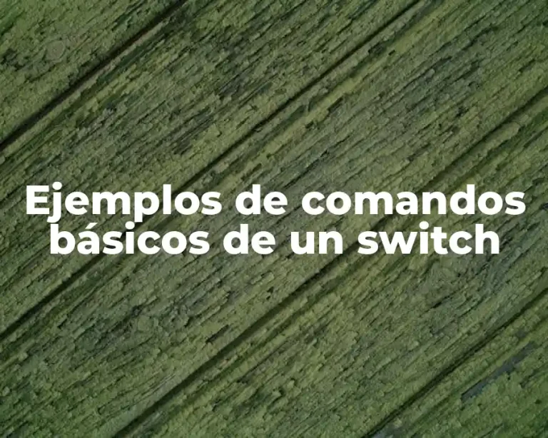 Ejemplos de comandos básicos de un switch