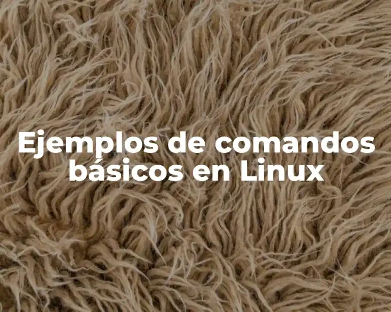 Ejemplos de comandos básicos en Linux